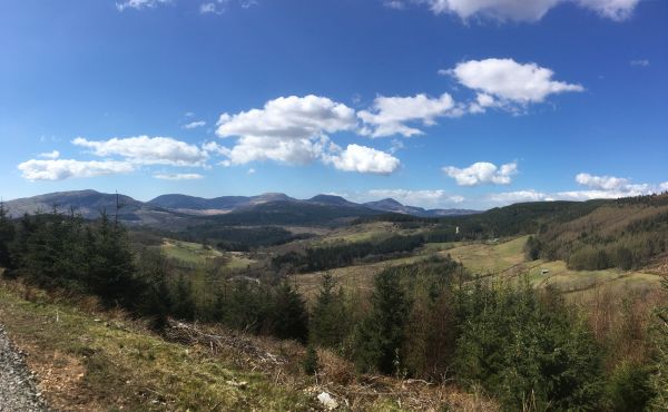 View towards the Rhinogydd